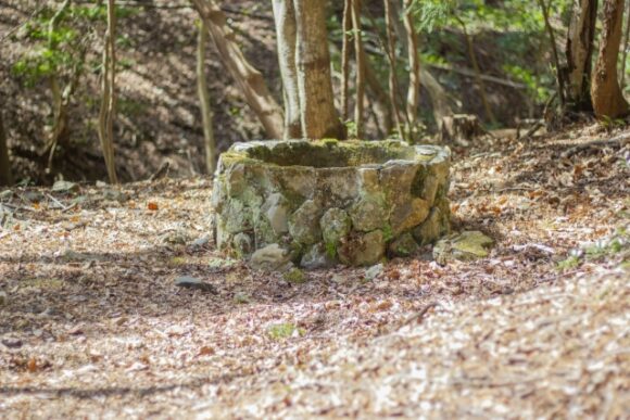 「庭に“井戸”がある家の解体、どうするの？」〜古井戸と解体工事の意外な関係〜
