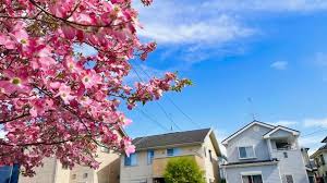 春が近づくと、なぜ「解体の相談」が動き出すのか