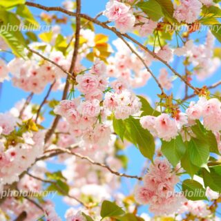 娘が歌う「一年生になったら」で感じた、時代の変化